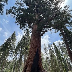 Meet your Posher, Kana